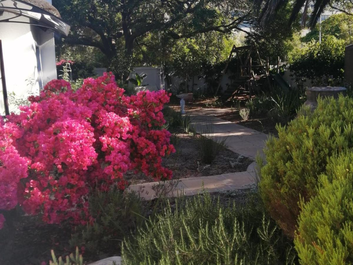 Beulah Lodge Κέιπ Τάουν Εξωτερικό φωτογραφία